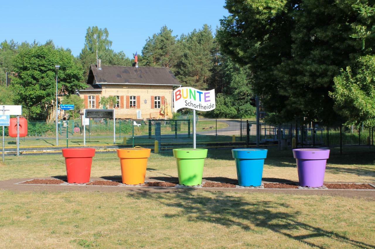 Ferienappartement Am See II Im Biospharenreservat Шорфхайде Екстериор снимка